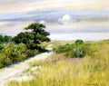 William Merritt Chase Shinnecock Hills #3 1895 Fine Art Print