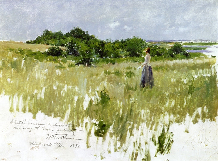 William Merritt Chase Shinnecock Hills, aka A View of Shinnecock 1891 Fine Art Print