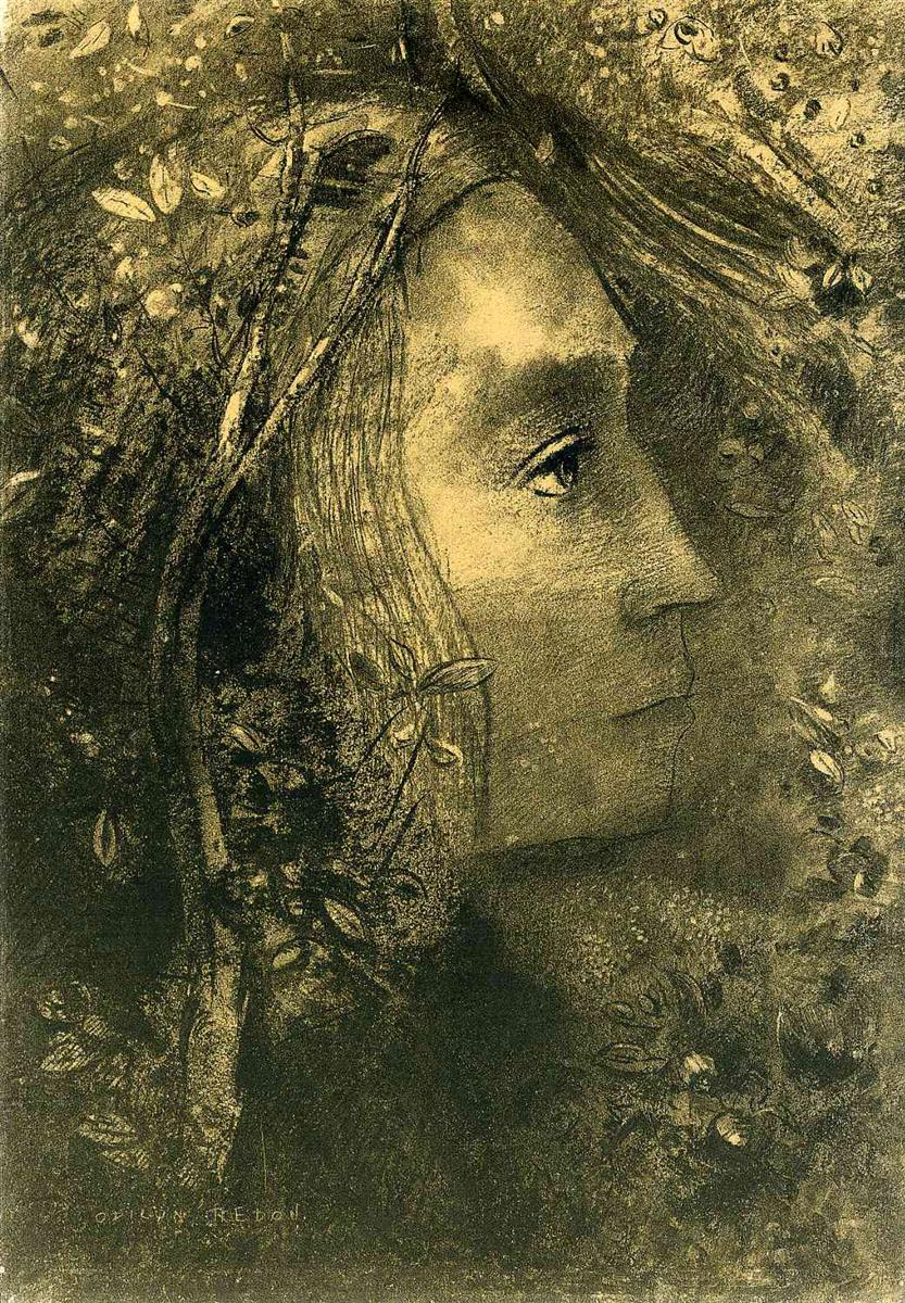 Odilon Redon Spring 1883 Fine Art Print