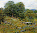 Robert Lewis Reid Stony Pasture 1910 Fine Art Print