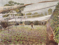 Eric Ravilious STRAWBERRY BED 1933 Fine Art Print
