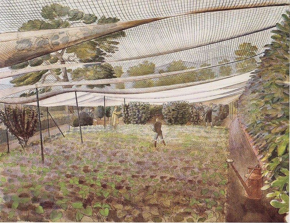 Eric Ravilious STRAWBERRY BED 1933 Fine Art Print