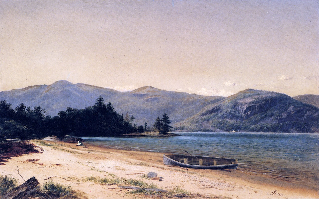 David Johnson Study of Nature, Dresden, Lake George 1870 Fine Art Print
