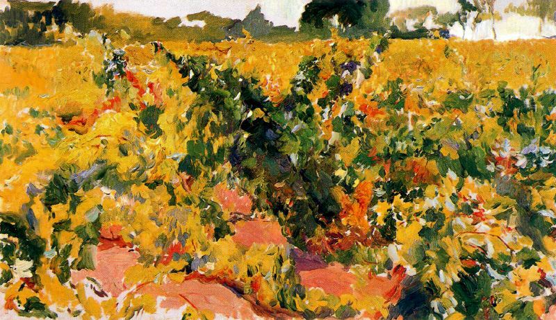 Joaquín Sorolla Study of Vineyard 1903 Fine Art Print