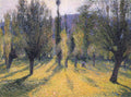 Henri Martin Sun through the Poplar 1895 Fine Art Print