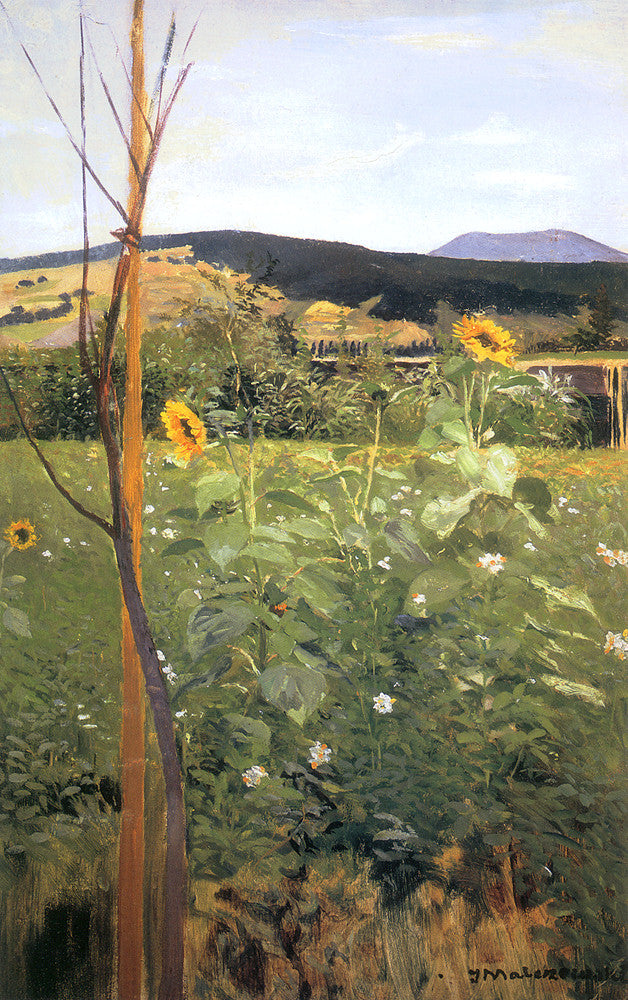 Jacek Malczewski Sunflowers 1911 Fine Art Print