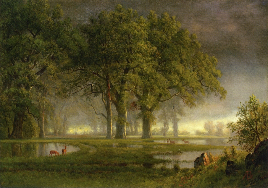 Albert Bierstadt Sunglow 1868 Fine Art Print