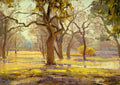 Robert Julian Onderdonk Sunlight after Rain 1921 Fine Art Print