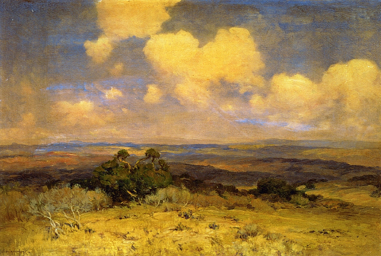 Robert Julian Onderdonk Sunlight and Shadow 1910 Fine Art Print
