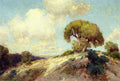 Robert Julian Onderdonk Sunlit Hillside 1913 Fine Art Print