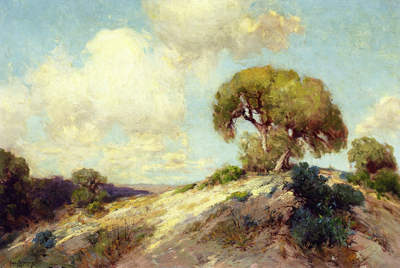 Robert Julian Onderdonk Sunlit Hillside 1913 Fine Art Print