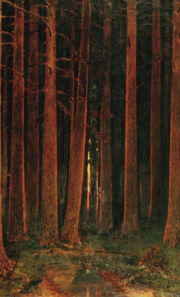 Arkhyp Kuindzhi Sunset in the Forest 1878 Fine Art Print