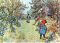 Carl Larsson The Apple Harvest 1903 Fine Art Print