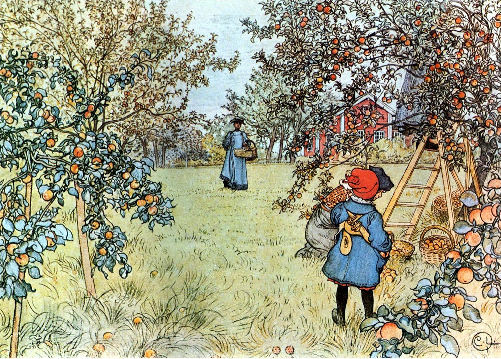 Carl Larsson The Apple Harvest 1903 Fine Art Print