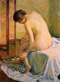 Theo van Rysselberghe The Bather 1910 Fine Art Print