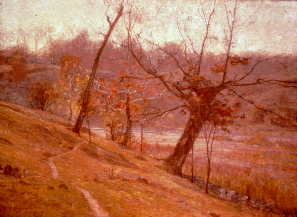T. C. Steele The Bloom of the Grape 1893 Fine Art Print