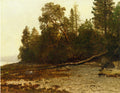 Albert Bierstadt The Fallen Tree 1845 Fine Art Print