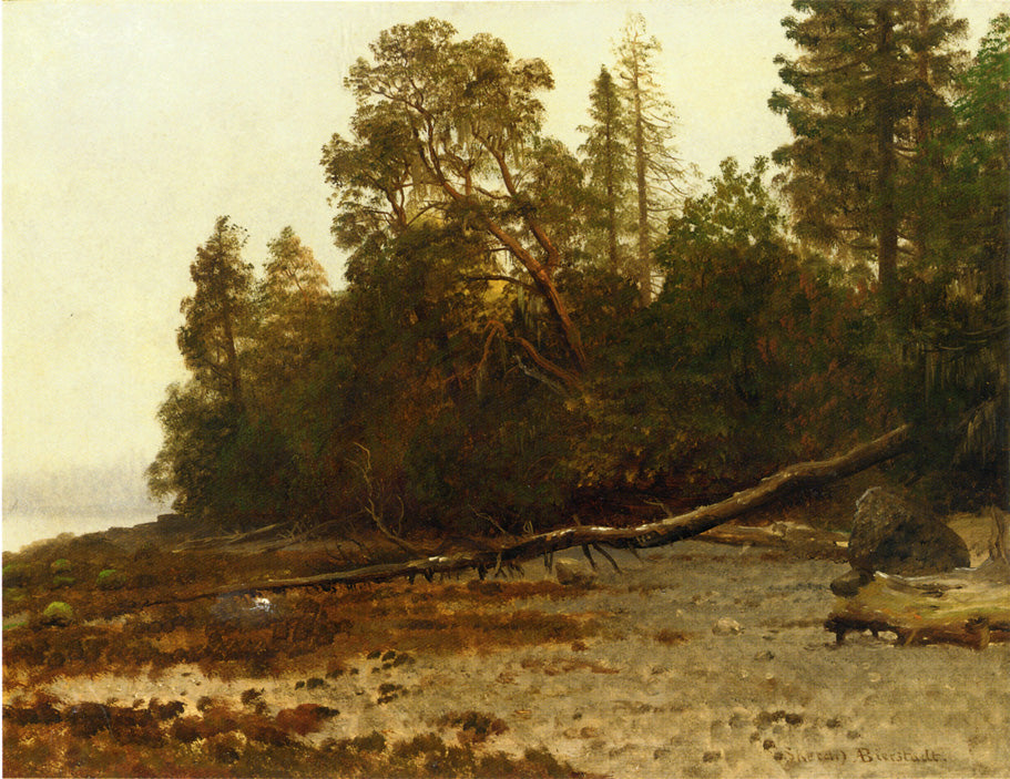 Albert Bierstadt The Fallen Tree 1845 Fine Art Print