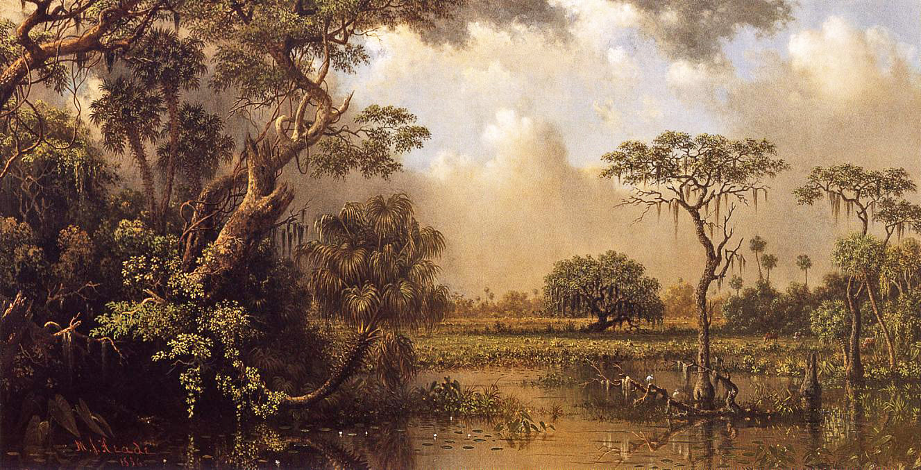 Martin Johnson Heade The Great Florida Marsh 1886 Fine Art Print