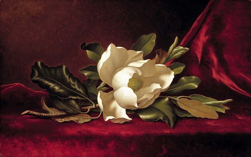 Martin Johnson Heade The Magnolia Blossom 1888 Fine Art Print