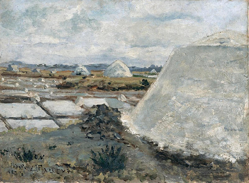 Maxime Maufra Salt Evaporation Pond 1889 Fine Art Print