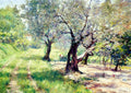 William Merritt Chase The Olive Grove 1910 Fine Art Print