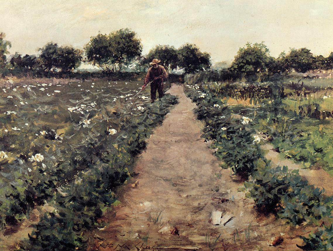 William Merritt Chase The Potato Patch, aka Garden Shinnecock 1893 Fine Art Print