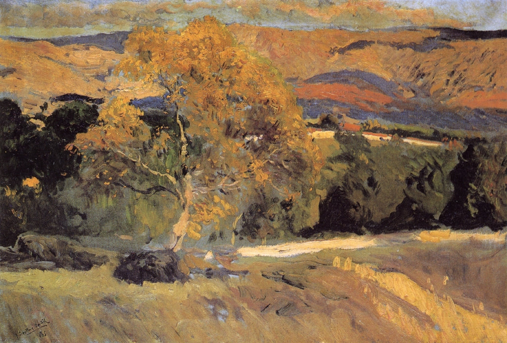 Joaquín Sorolla The Yellow Tree, La Granja 1906 Fine Art Print