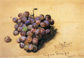 William Merritt Chase Topaz Grapes 1870 Fine Art Print