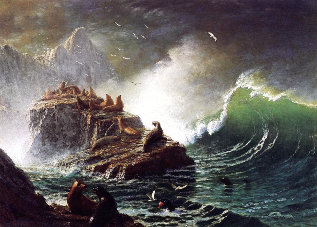 Albert Bierstadt Seals on the Rocks, Farallon Islands 1872-1873 Fine Art Print