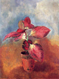 Odilon Redon Begonia in a Pot 1910 Fine Art Print