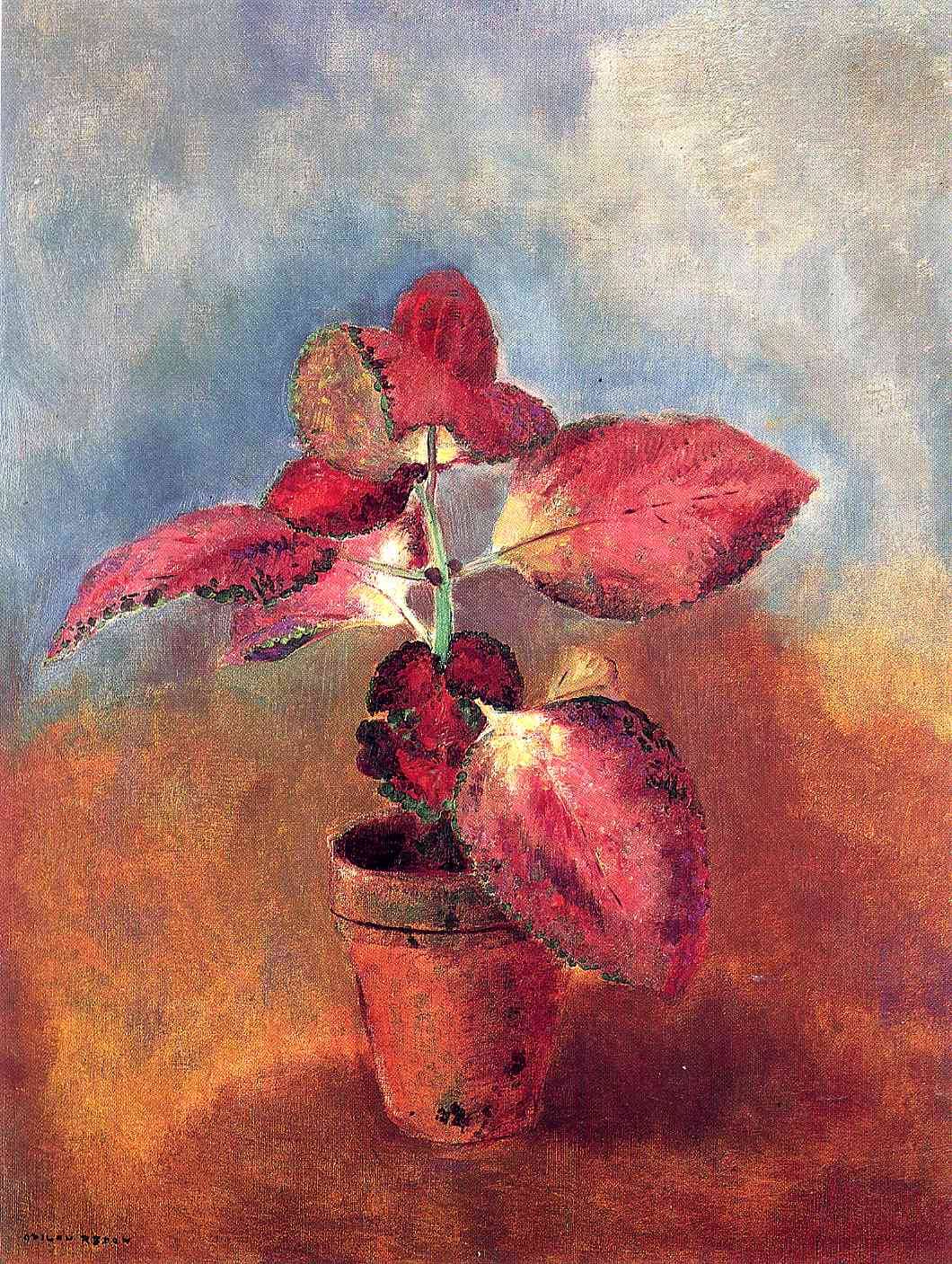 Odilon Redon Begonia in a Pot 1910 Fine Art Print