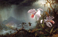 Martin Johnson Heade Two Fighting Hummingbirds with Two Orchids 1875 Fine Art Print