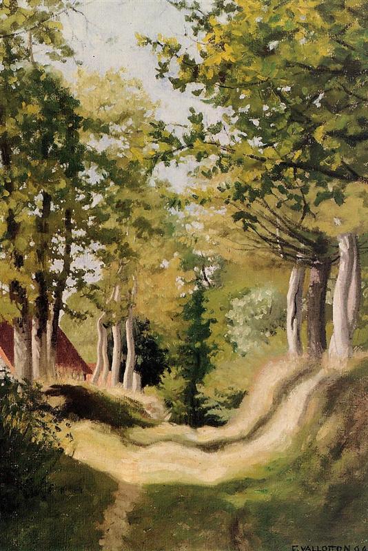 Felix Vallotton Undergrowth 1904 Fine Art Print