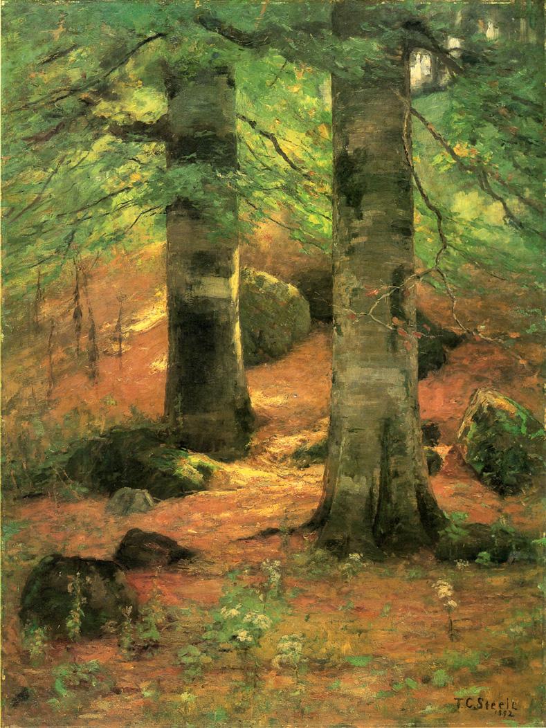 T. C. Steele Vernon Beeches 1892 Fine Art Print