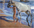 Joaquín Sorolla Washing the Horse 1909 Fine Art Print