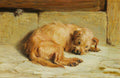 Briton Riviere Watching Dog 1875 Fine Art Print
