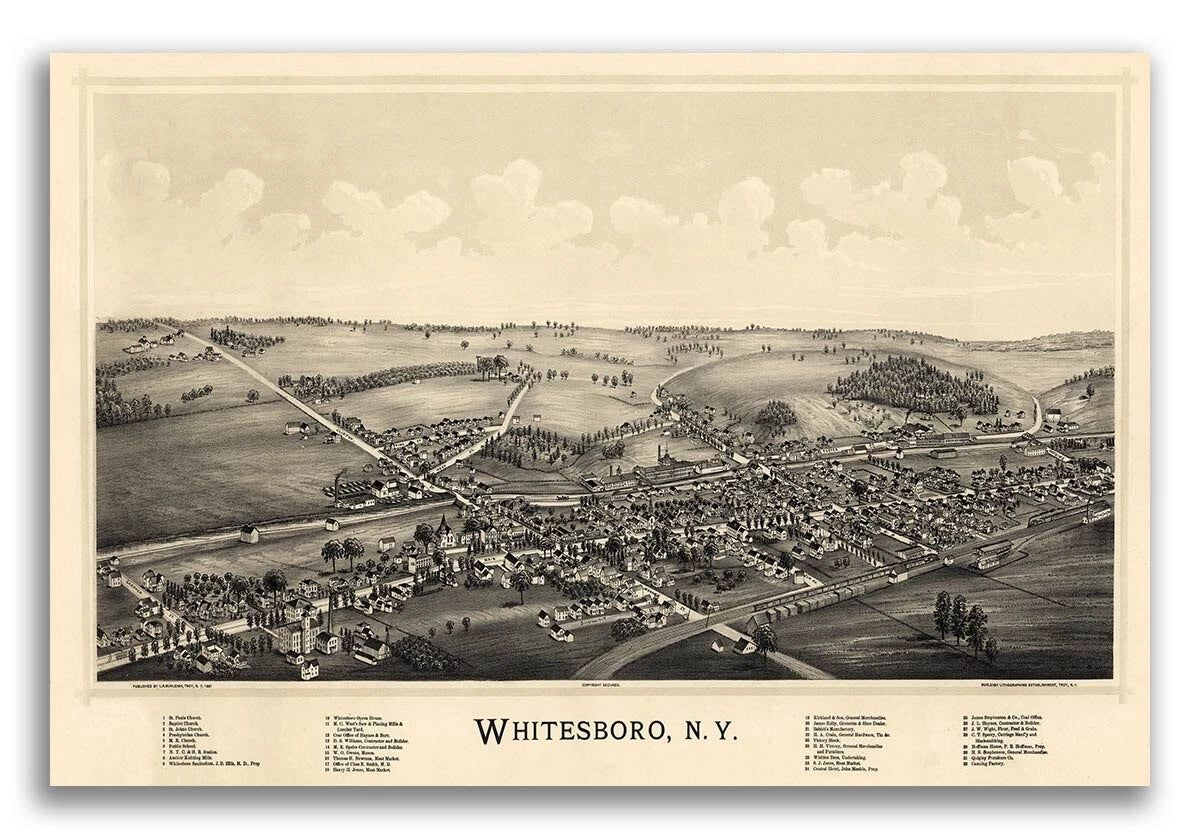 Bird's Eye View Whitesboro New York Vintage 1891 Fine Art Print