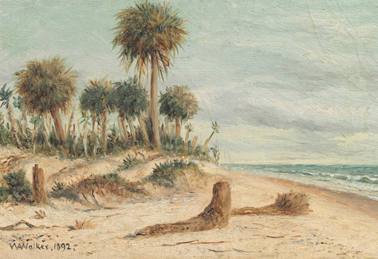 {{ product_title }} Fine Art Print | {{ product_vendor }} Jakero77 William Aiken Walker Palm Trees on Beach Fort Walton 1892 Fine Art Print Art Print  Jakero77