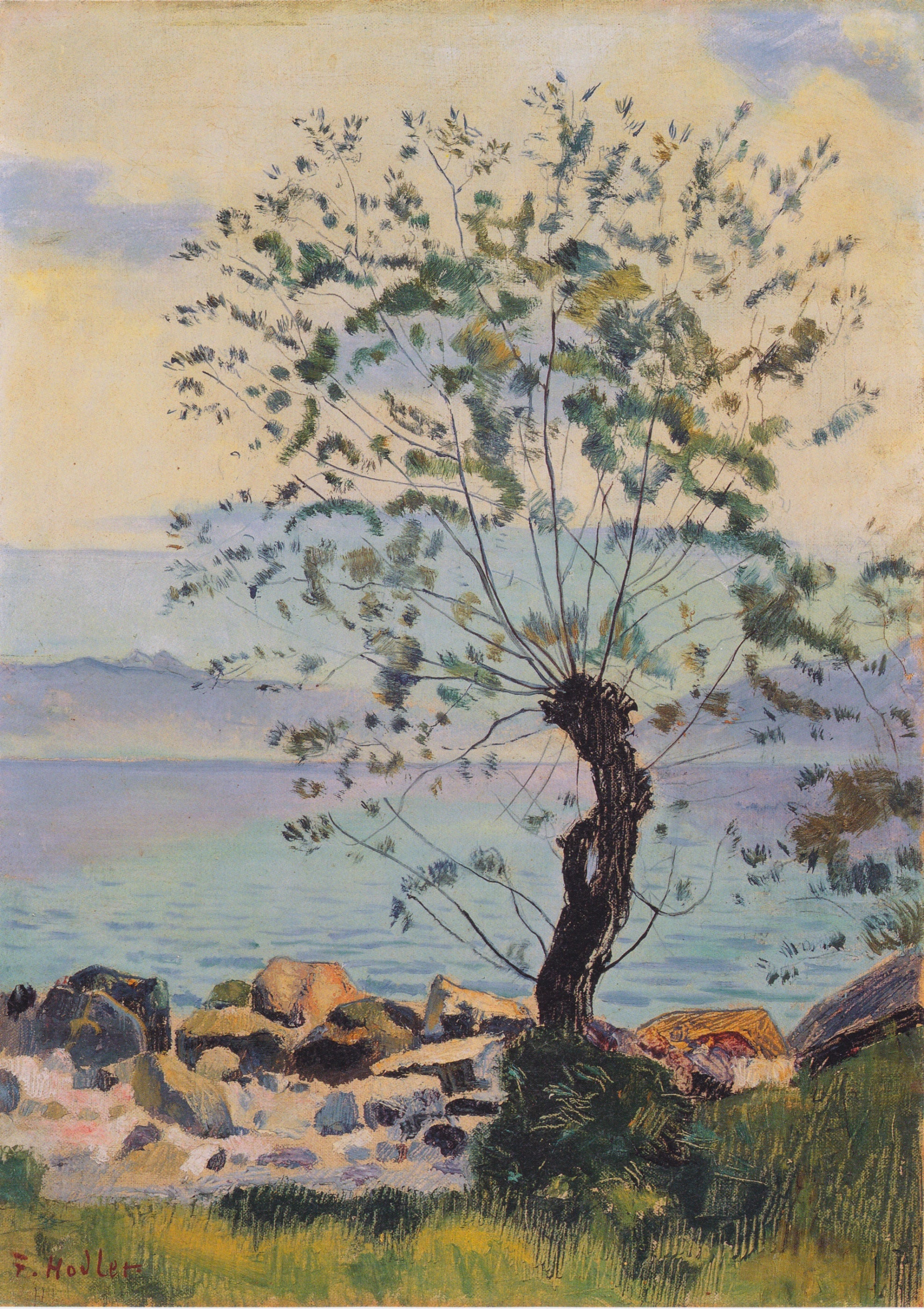 Ferdinand Hodler Willow tree by the lake 1890 Fine Art Print