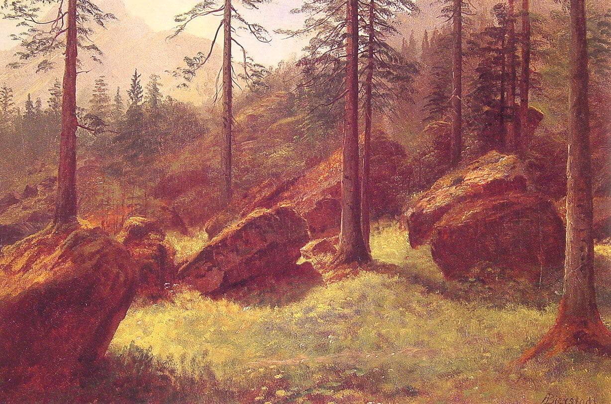 Albert Bierstadt Wooded Landscape 1863 Fine Art Print