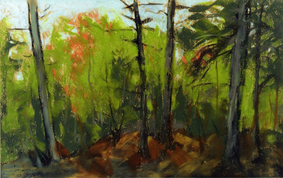 Robert Henri Woodland Scene, Monhegan, Maine 1918 Fine Art Print