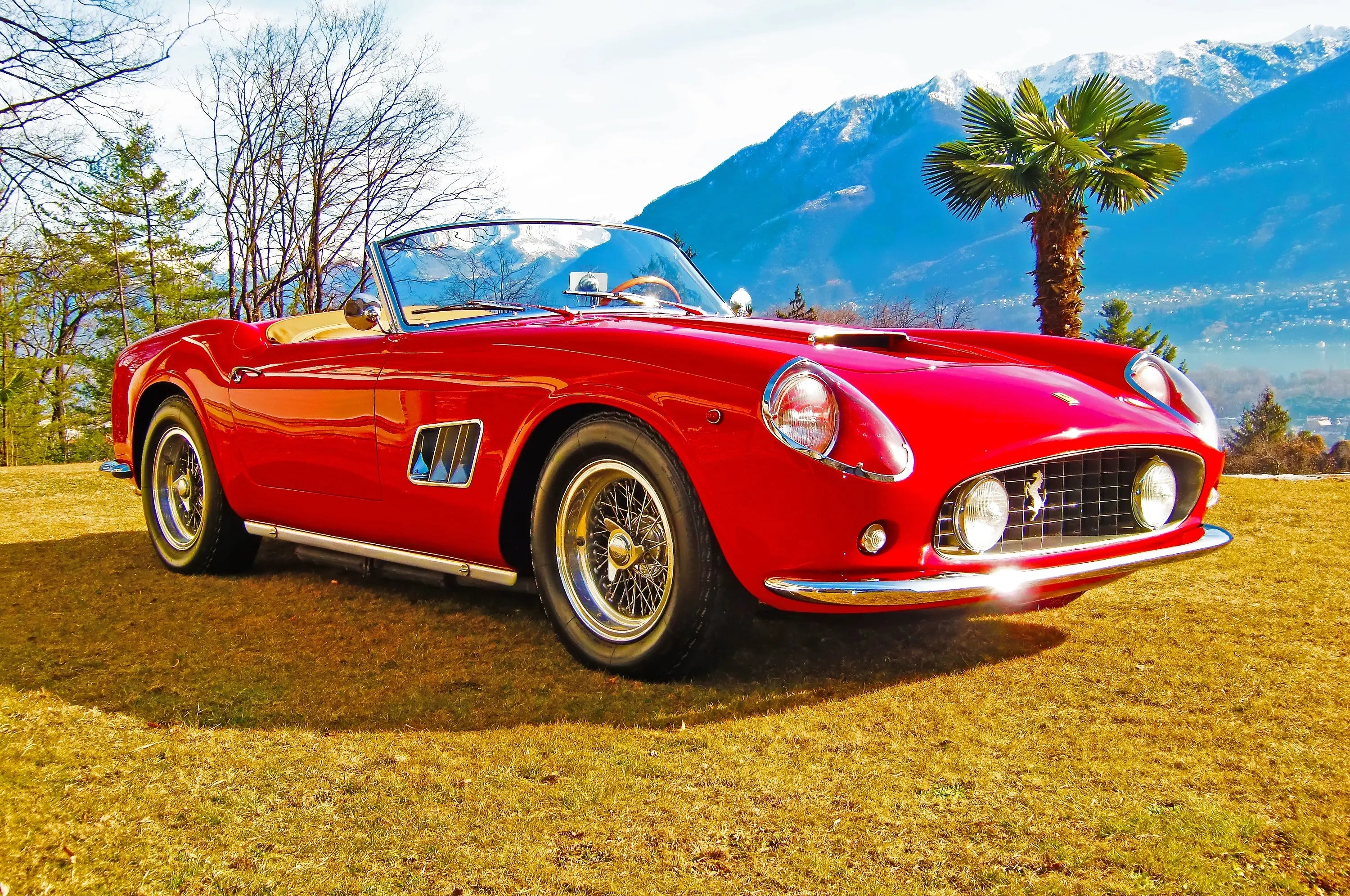 {{ product_title }} Fine Art Print | {{ product_vendor }}