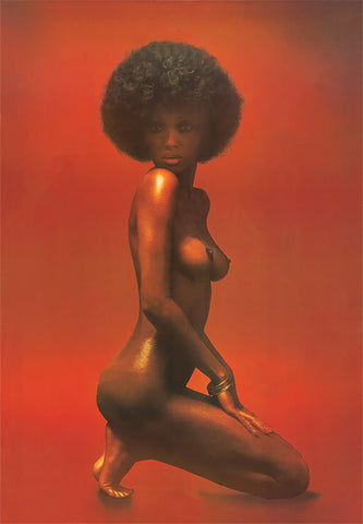 The Shining Nude Black Woman Afro Erotic Dick Halloran Poster - 17" x 22" Fine Art Print