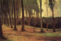 {{ product_title }} Fine Art Print | {{ product_vendor }}
