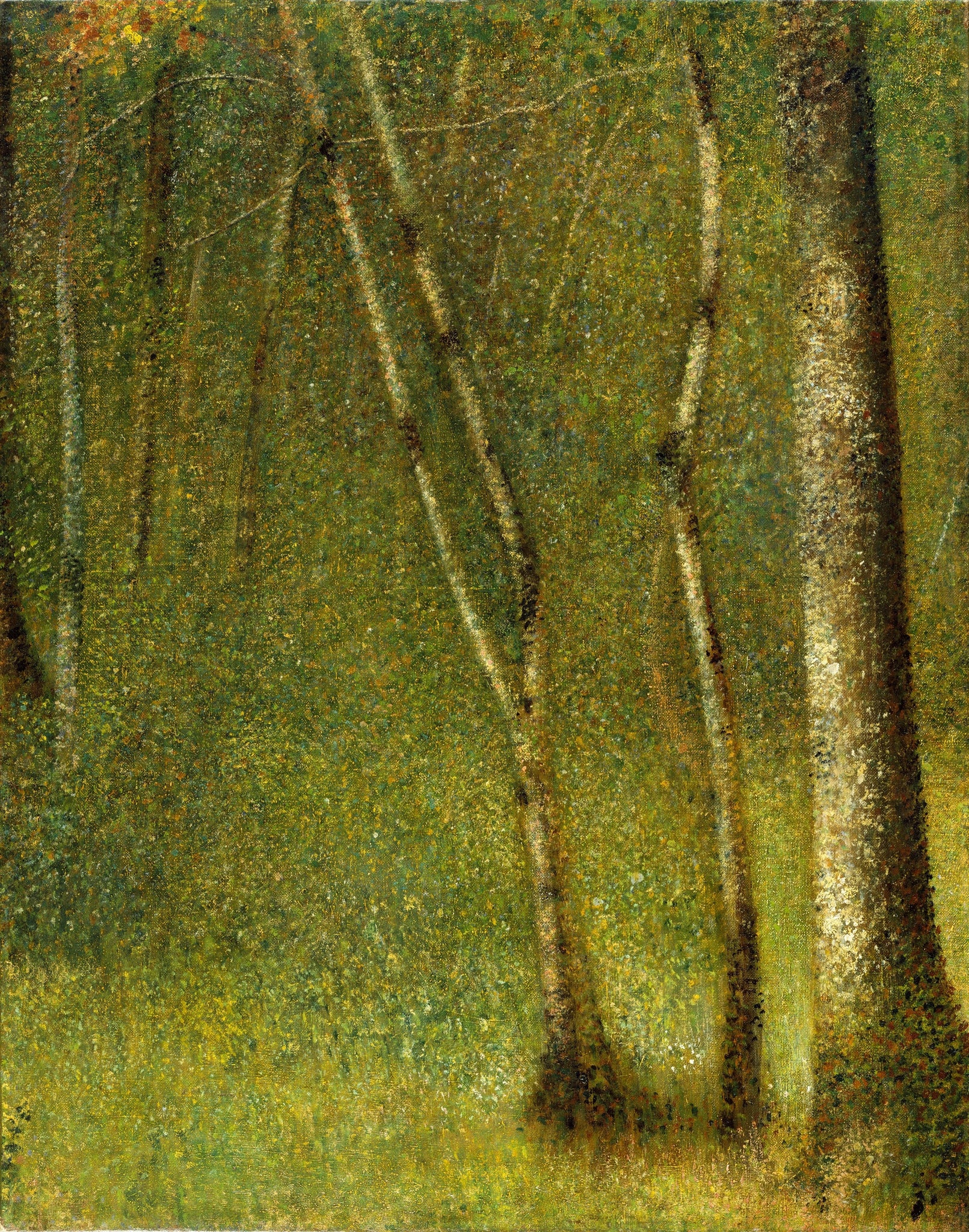 The Forest at Pontaubert (1881) by George Seurat - 17" x 22" Fine Art Print