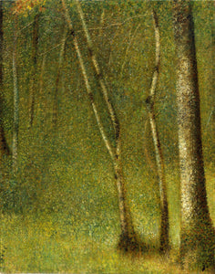 The Forest at Pontaubert (1881) by George Seurat - 17" x 22" Fine Art Print