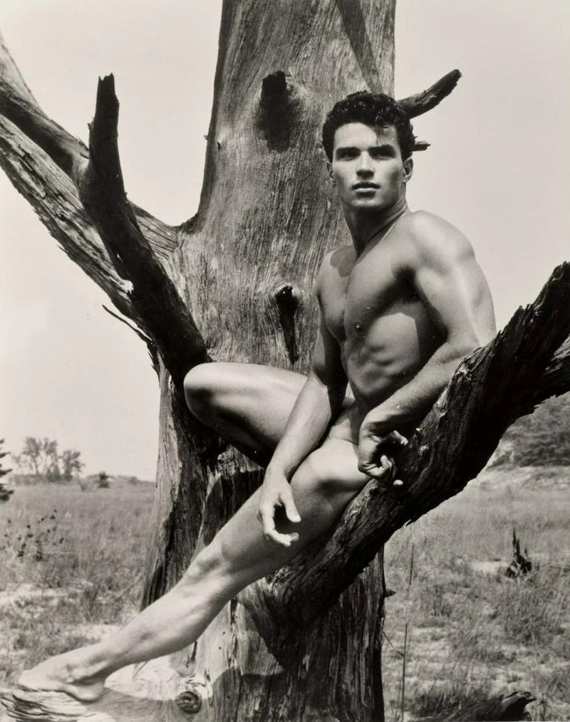 Bruce of LA - Vintage Gay Glenn Bishop Nude in Tree Outside - 17"x22" Art Print