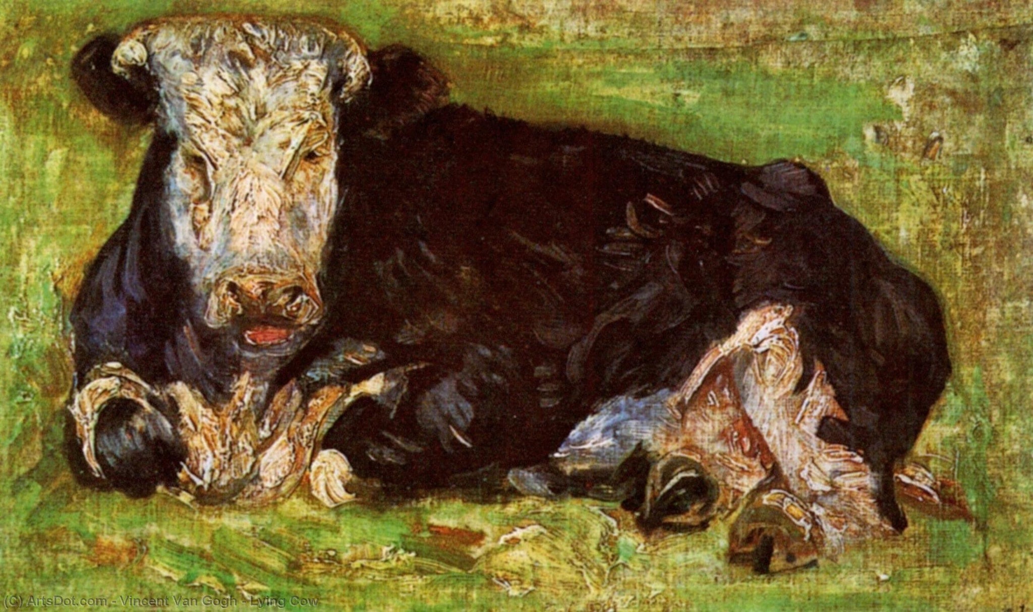 Lying Cow (1883) by Vincent van Gogh Impressionist - 17" x 22" Fine Art Print