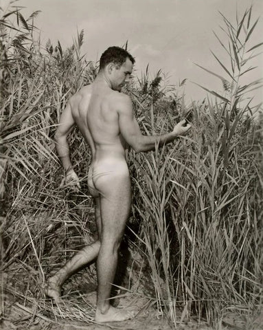 Bruce of Los Angeles 1960s Vintage Gay Man Nude Nature Butt - 17"x22" Art Print -1362